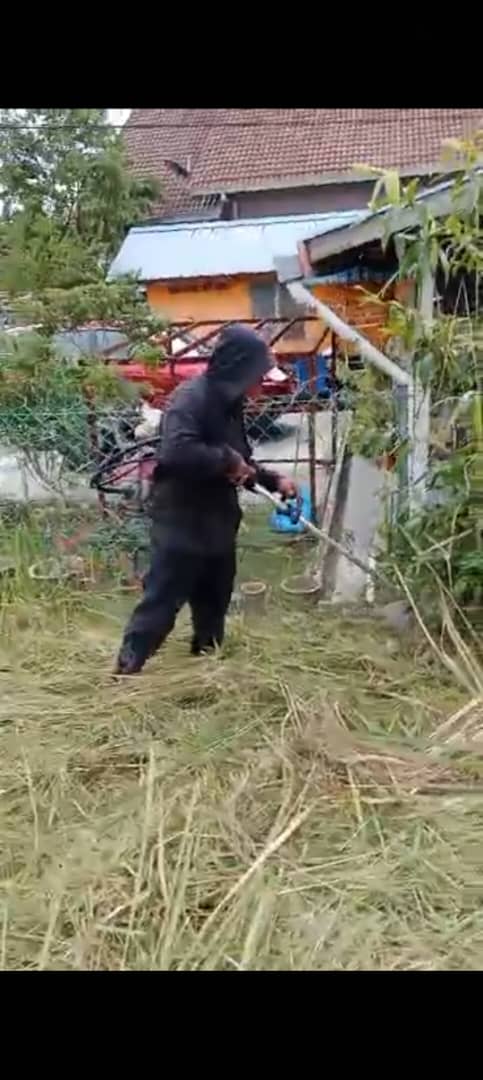 Bush and grass clearing with brush cutter