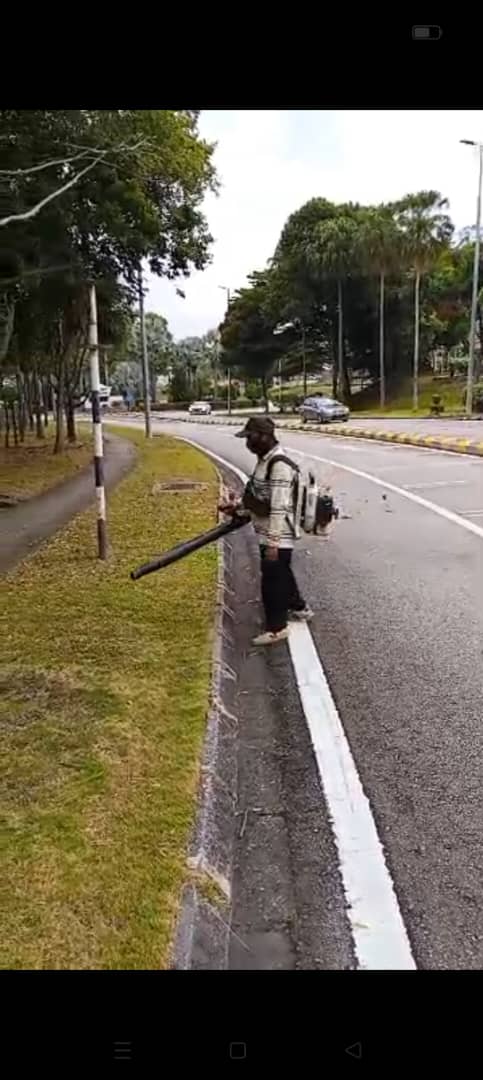 Roadside grass blowing along a city kerb