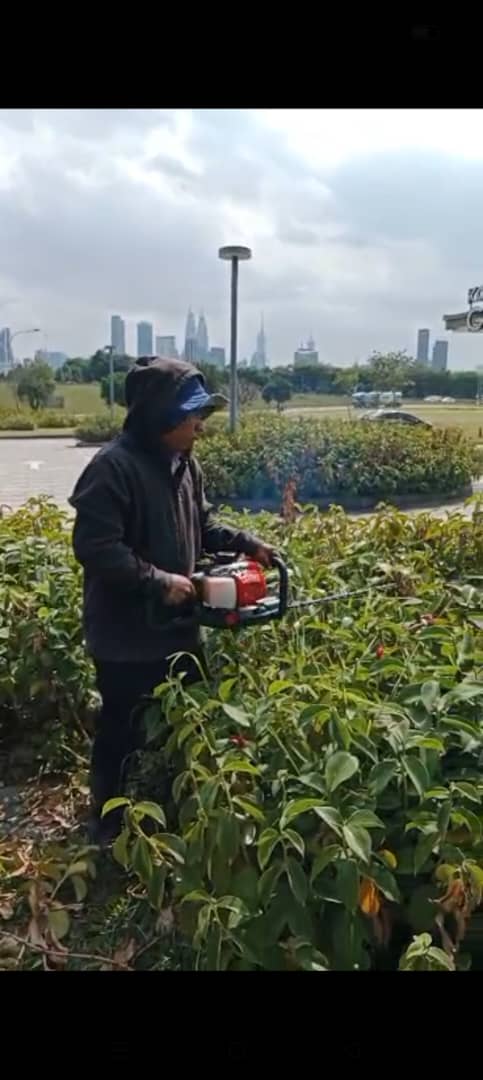 Hedge trimming with KL skyline backdrop